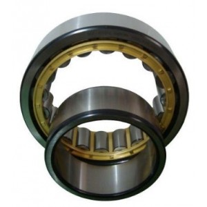 Roller Bearings